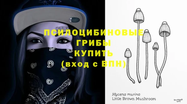 ECSTASY Абдулино