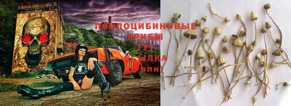 марки lsd Абаза