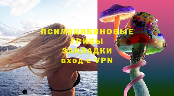 марки lsd Абаза